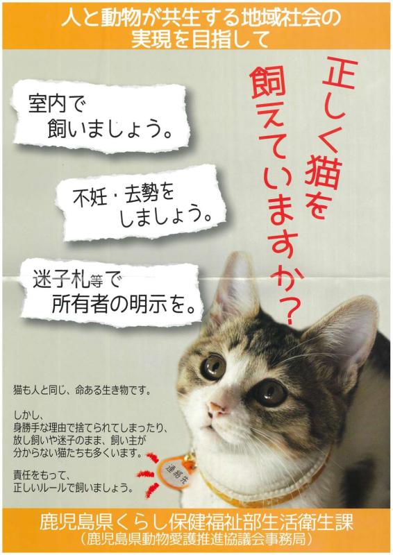 猫の飼い方1